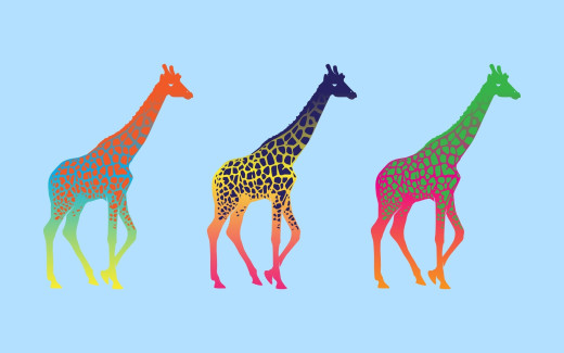 767944 (a): :2560x1600